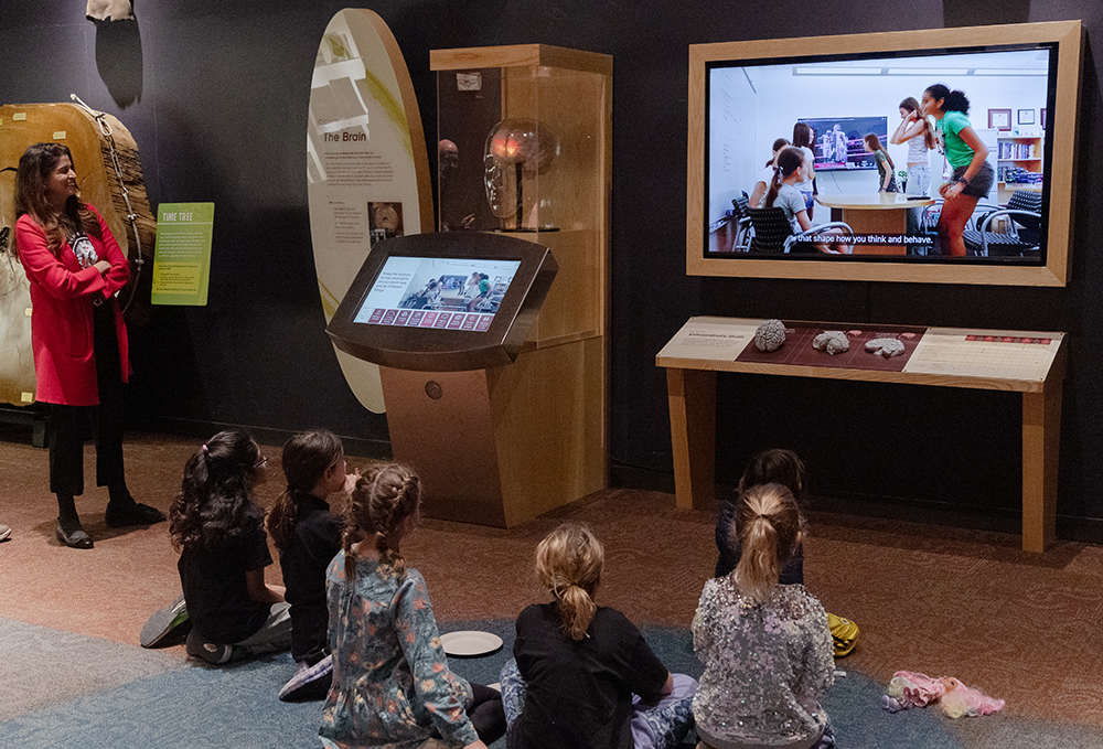 A group of children sit on the floor near 3D brain models and watch a video on a large screen above them.
