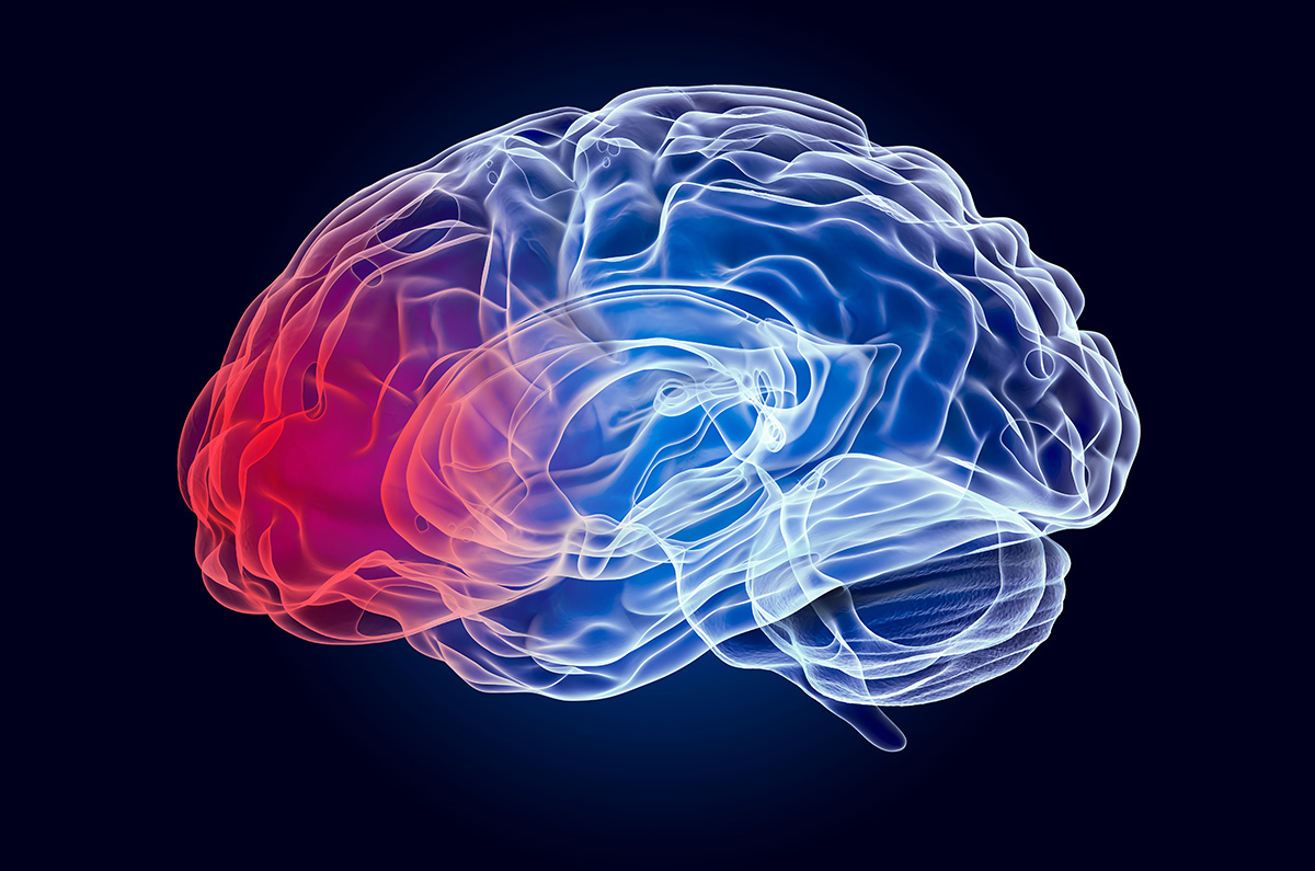 Blue brain illustration with a glowing red portion near the prefrontal cortex