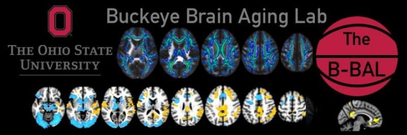 Buckeye Brain Aging Lab 