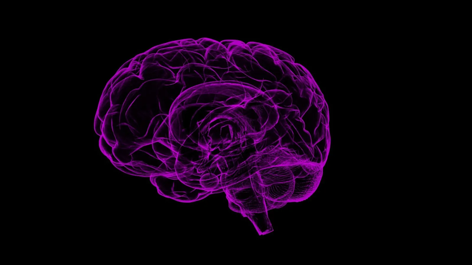 Neon Purple Brain