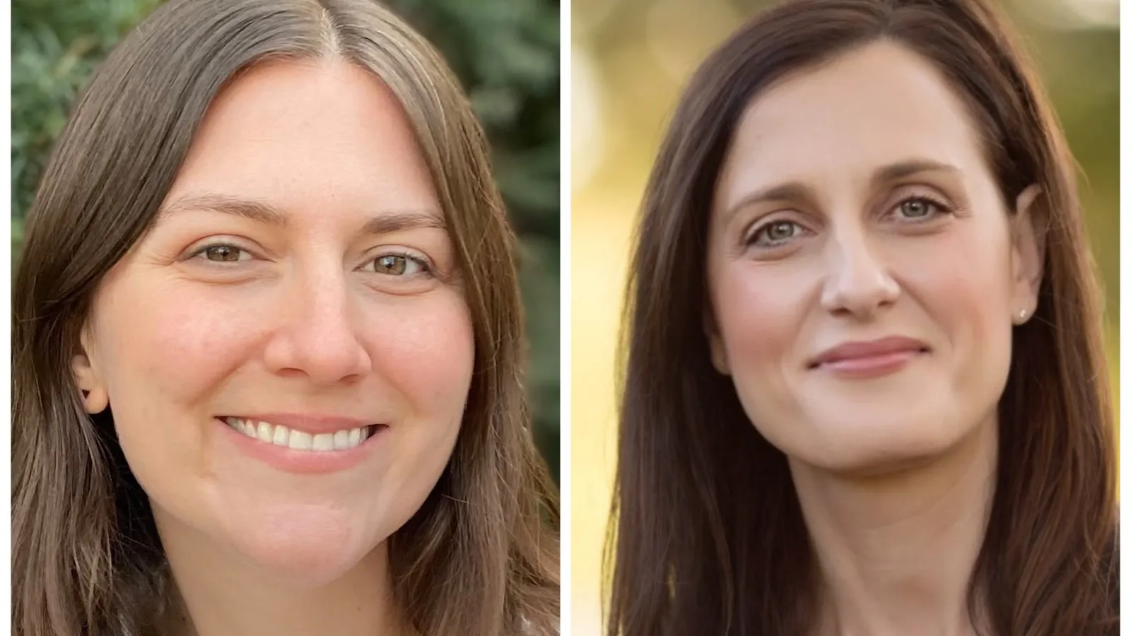 Dr. Lenz and Dr. Leuner