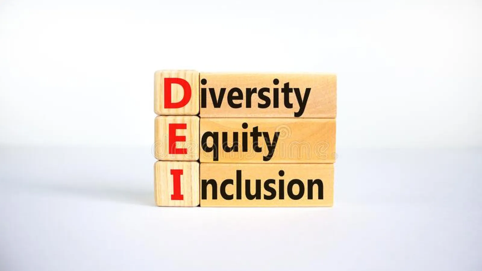 Blocks that "Diversity, Equity, and Inclusion"