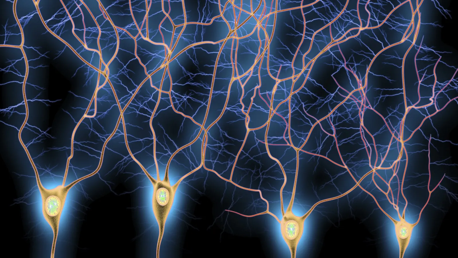 Computer illustration of dendrites, the branch-like projections extending from neurons in the brain.