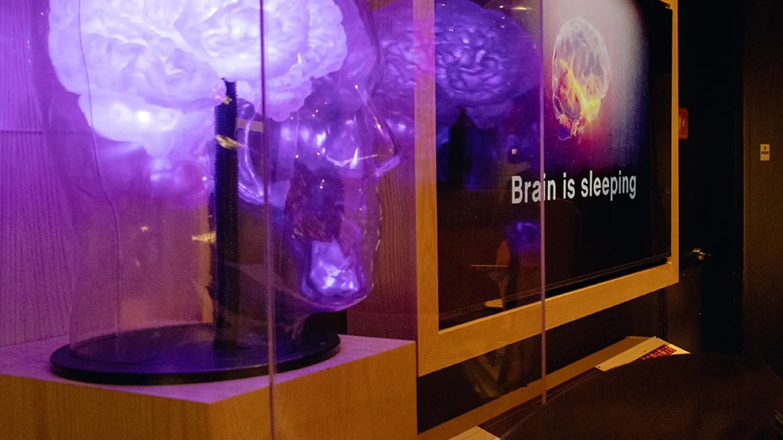 A translucent replica of a human head with a glowing purple brain inside, next to an LCD screen that reads "Brain is Sleeping."
