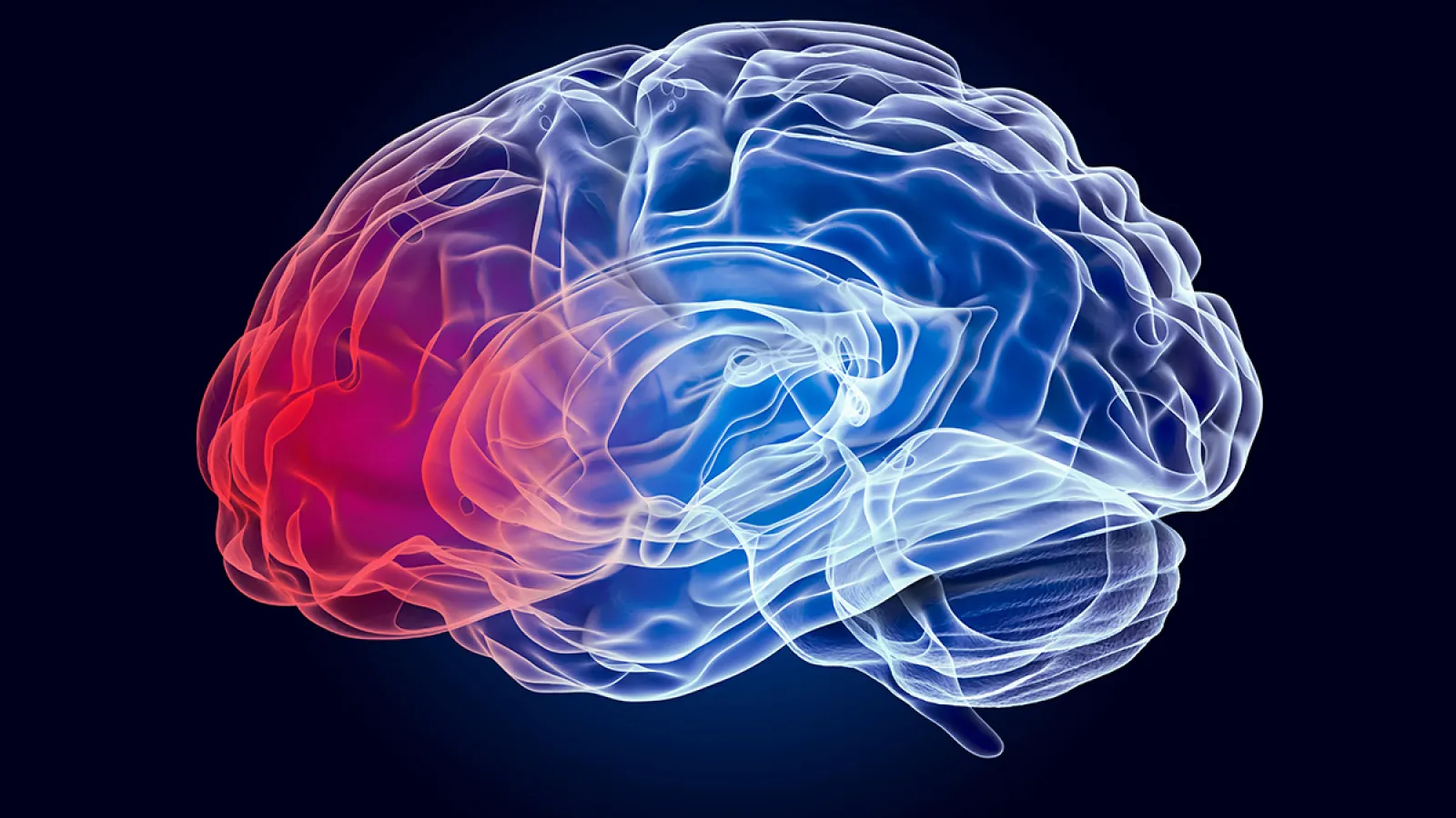 Blue brain illustration with a glowing red portion near the prefrontal cortex
