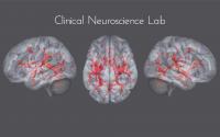 Clinical Neuroscience Lab Logo