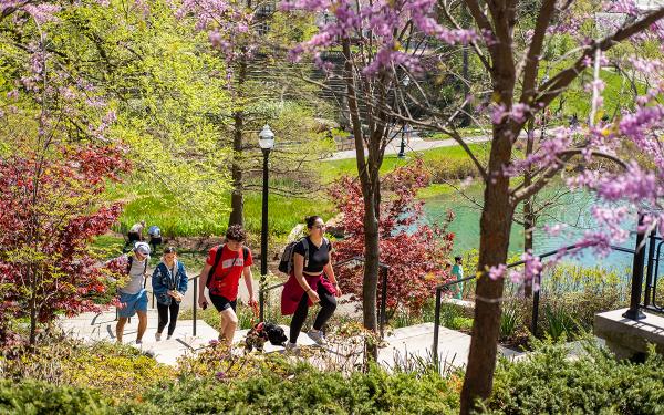 Students walk up a stairway by Mirror Lake surrounded by green leaves and blooms.