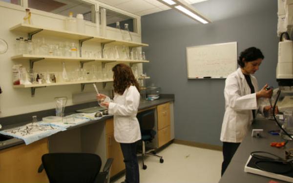 Behavioral neuroscience students working in laboratory