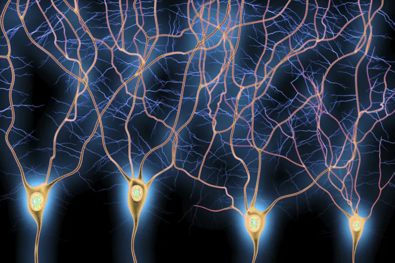 Four blue and yellow dendrites branching out across a dark background