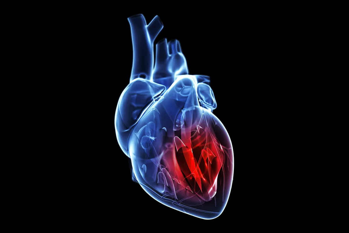 Human heart outlined in blue, with a glowing red spot in one chamber