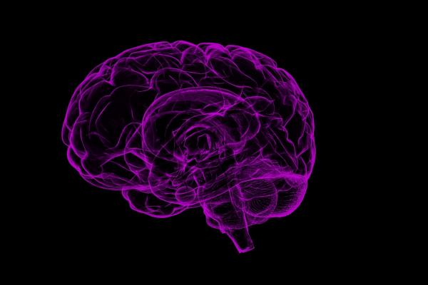 Neon Purple Brain