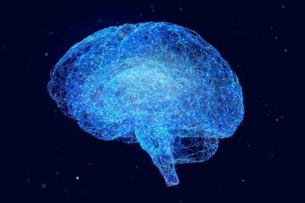 blue digitized brain