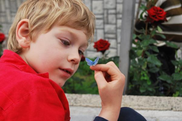 Boy in red shirt holding butterfly; OSU News