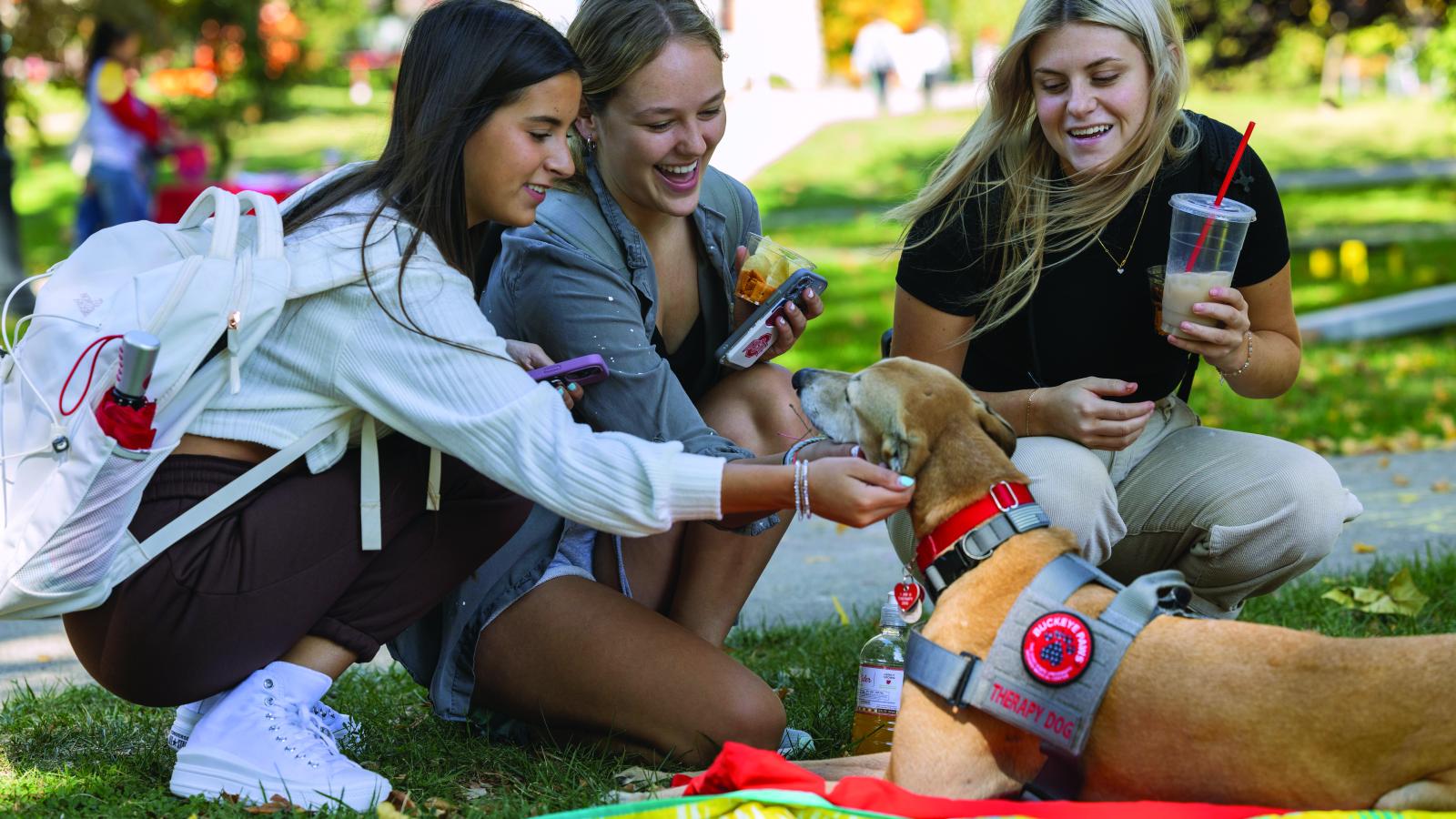 Three Student Pet a Greyhound Dog on the Oval