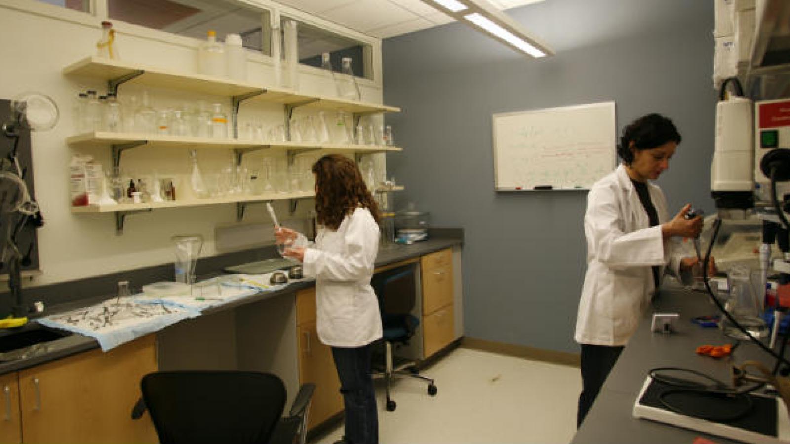 Behavioral neuroscience students working in laboratory