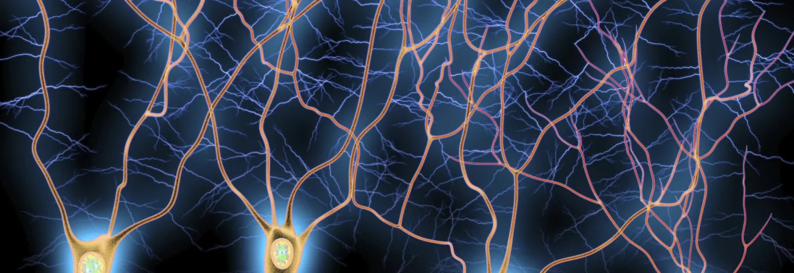 Computer illustration of dendrites, the branch-like projections extending from neurons in the brain.